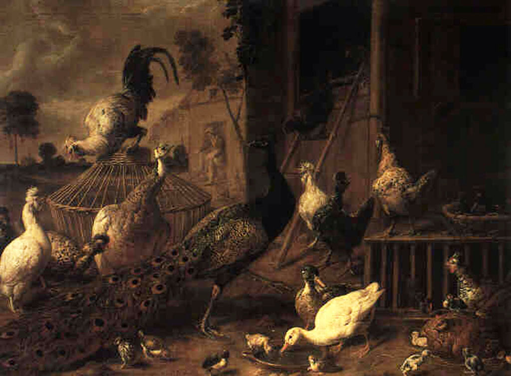 Farmyard